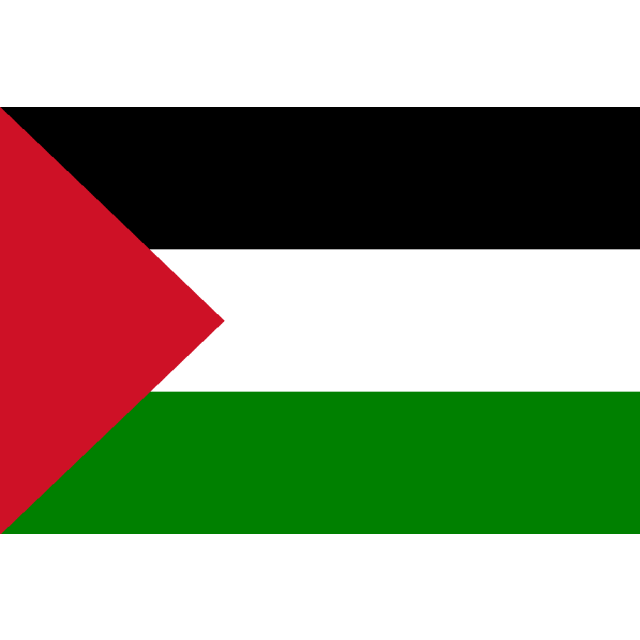 Zastava Palestine 90cm x 60cm – palestinska zastava Palestina